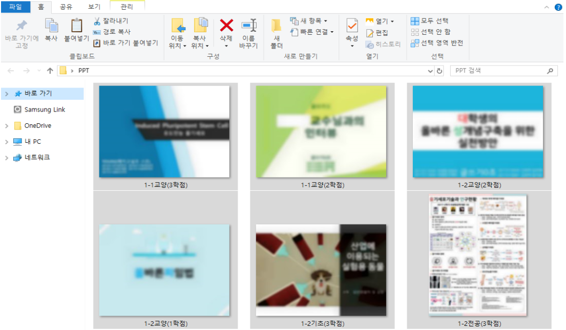 엄정은 사진2.png