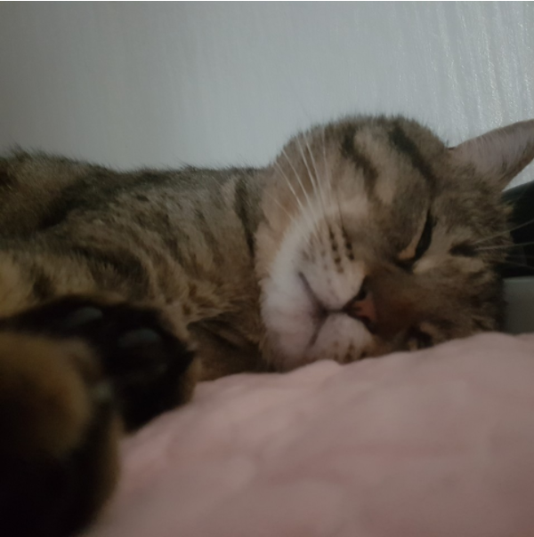 이민정 사진2.png