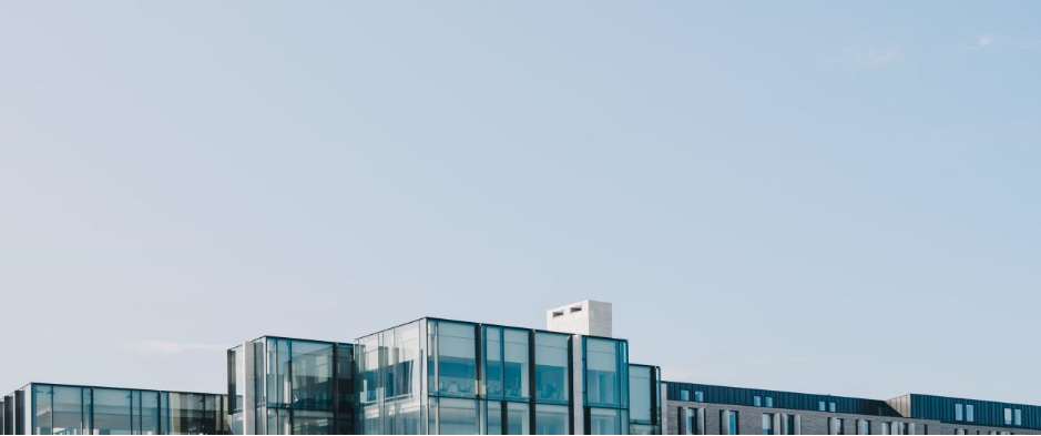 안서경 사진2.png