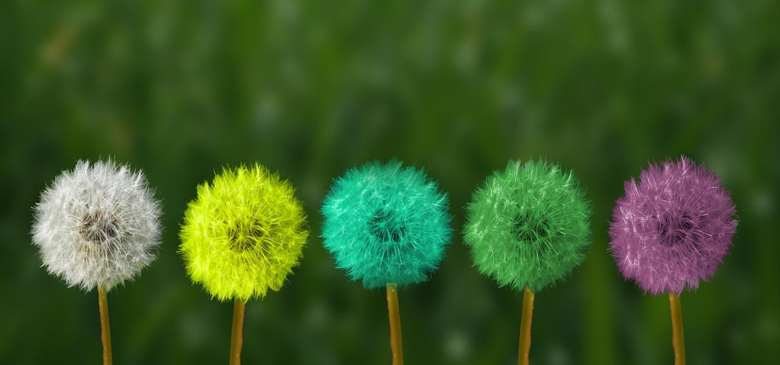 정인혜 사진3.png