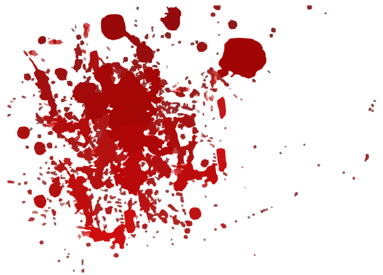 박대형 사진2.png