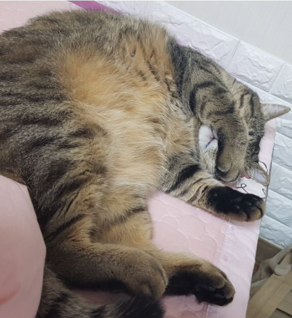 이민정 사진3.png