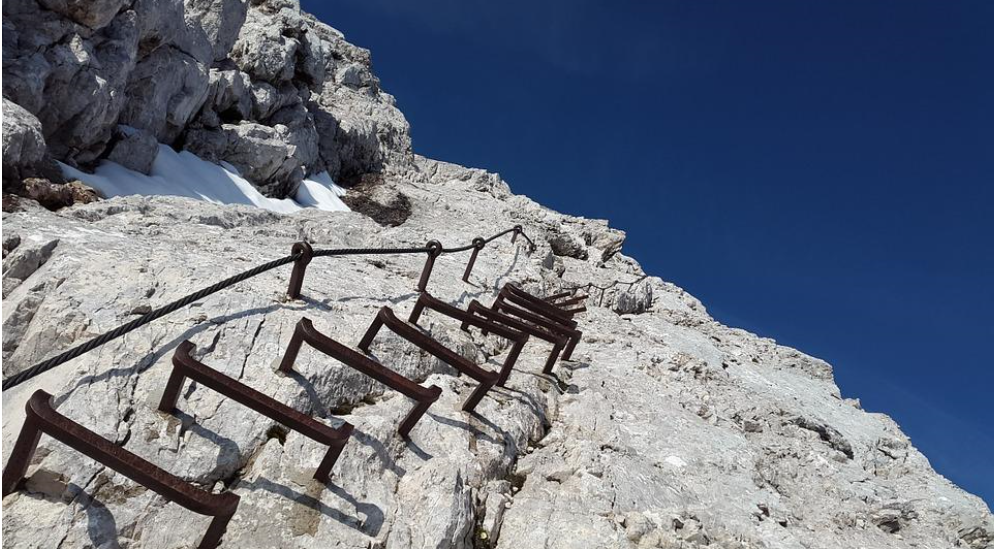 박대형 사진1.png