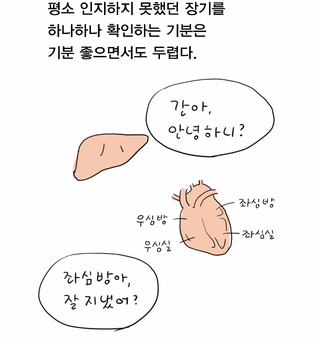 Screen Shot 2020-12-25 at 4.19.52 PM.png