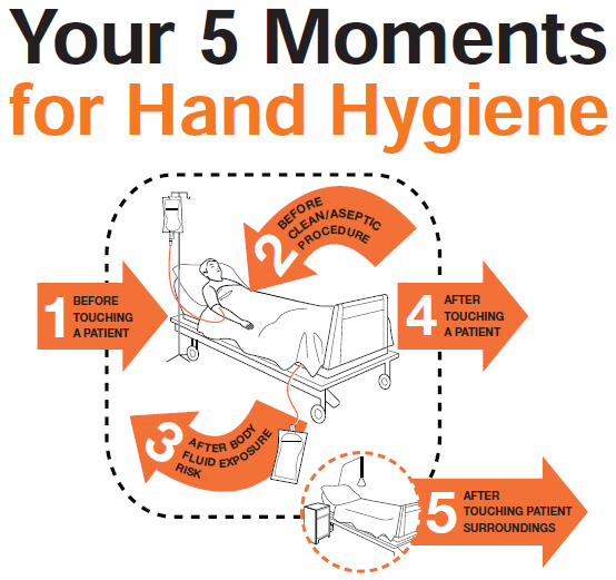 hand hygiene.png