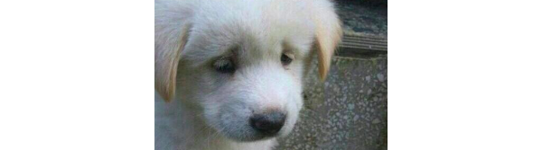 스크린샷 2019-01-04 오전 12.52.36.png