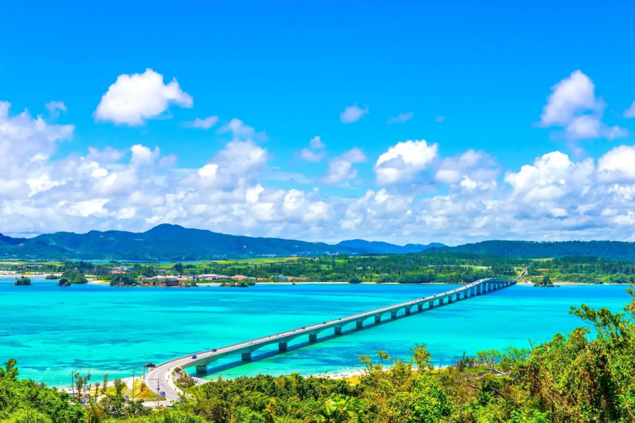 오키나와즐길거리_오키나와 북부 버스 투어_1.jpg.png