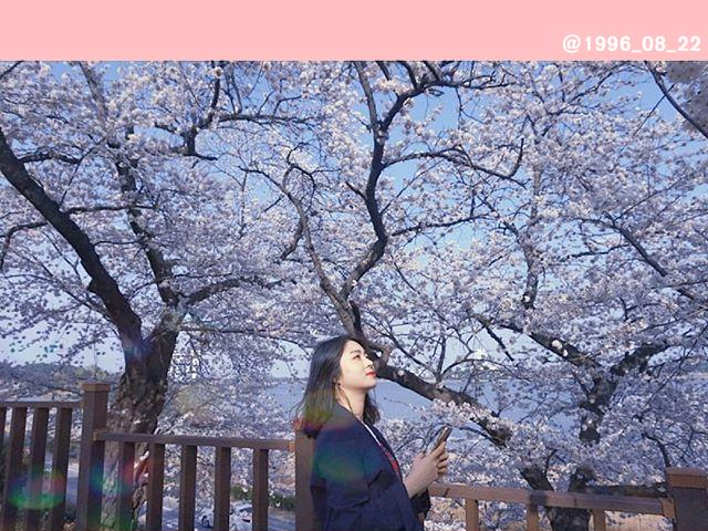 01 경포대.png