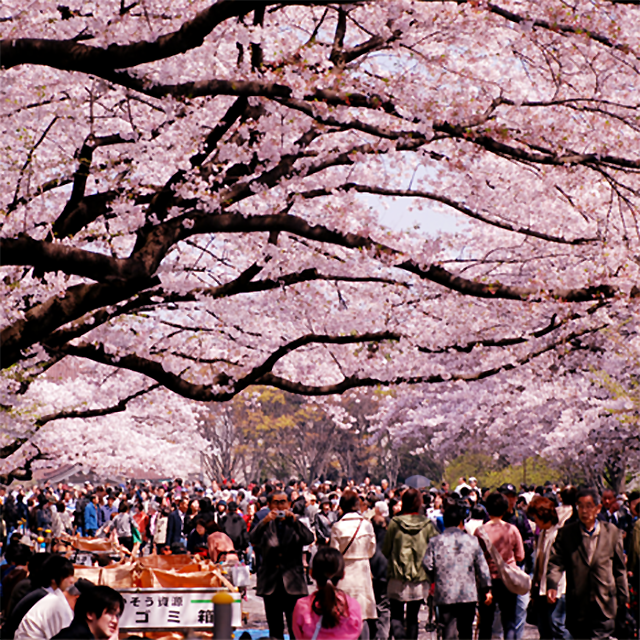 01 우에노 공원.png