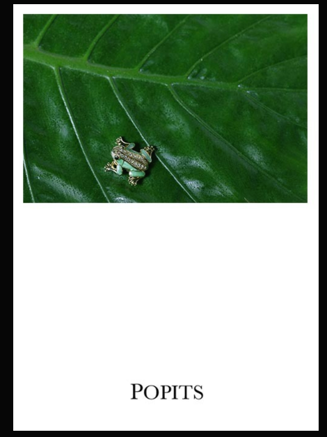 스크린샷 2019-11-04 오후 5.39.42.png