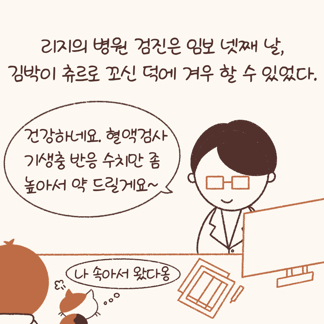 임시보호_적응기_(2)-2.png