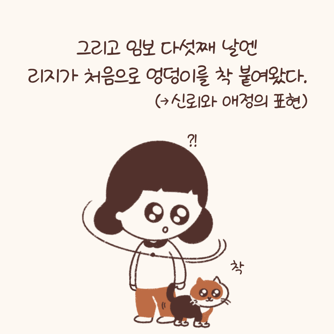 임시보호_적응기_(2)-7.png