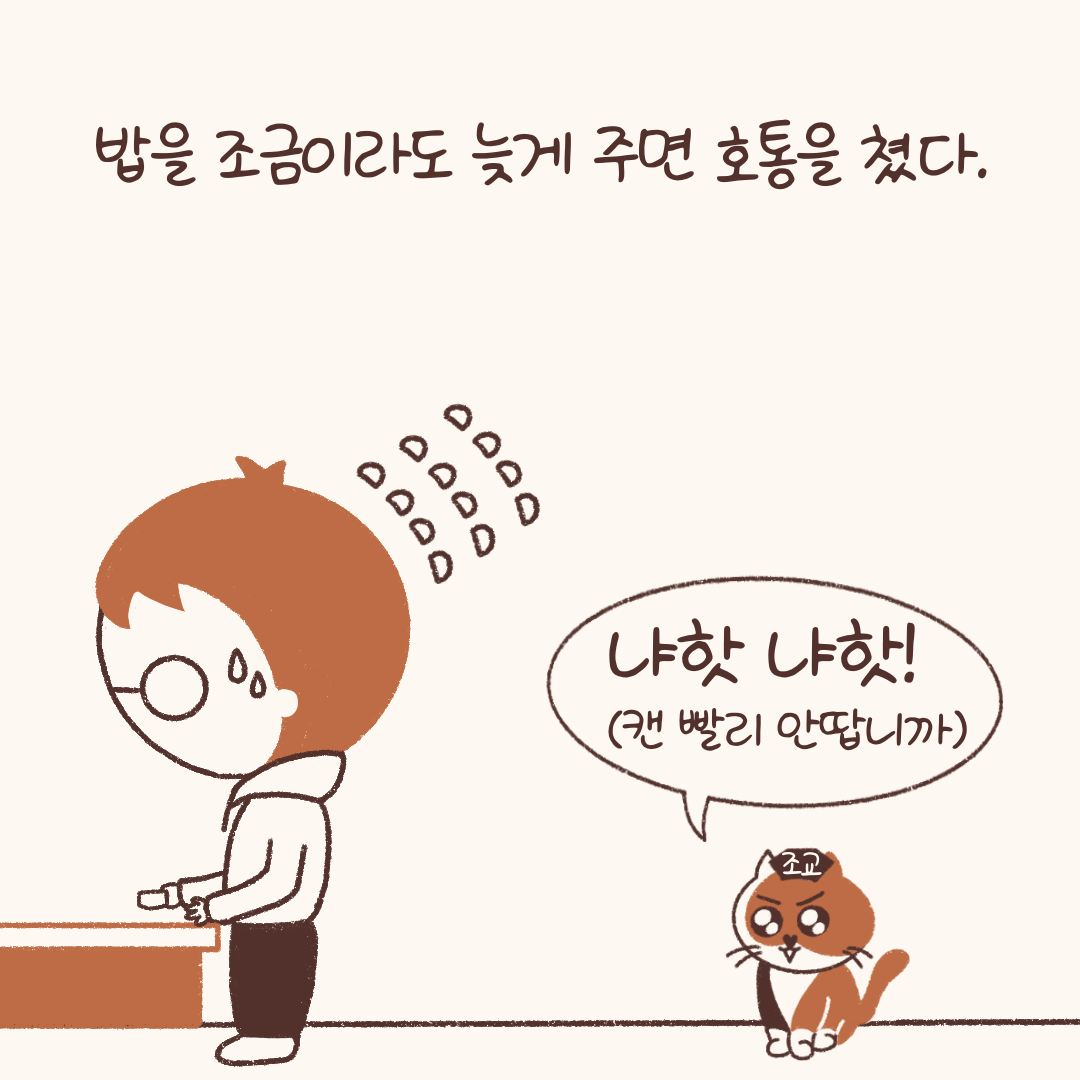 임시보호_적응기_(2)-6.png