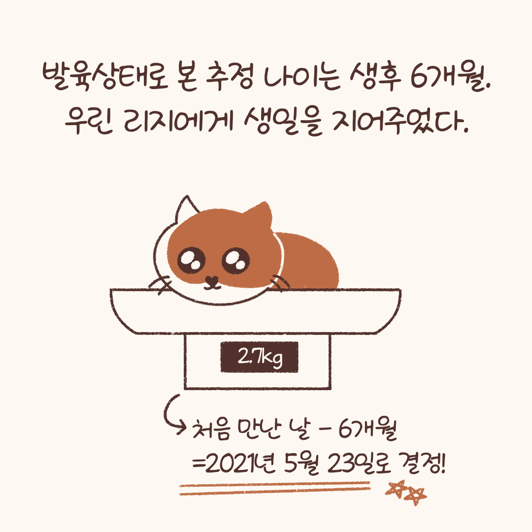 임시보호_적응기_(2)-3.png