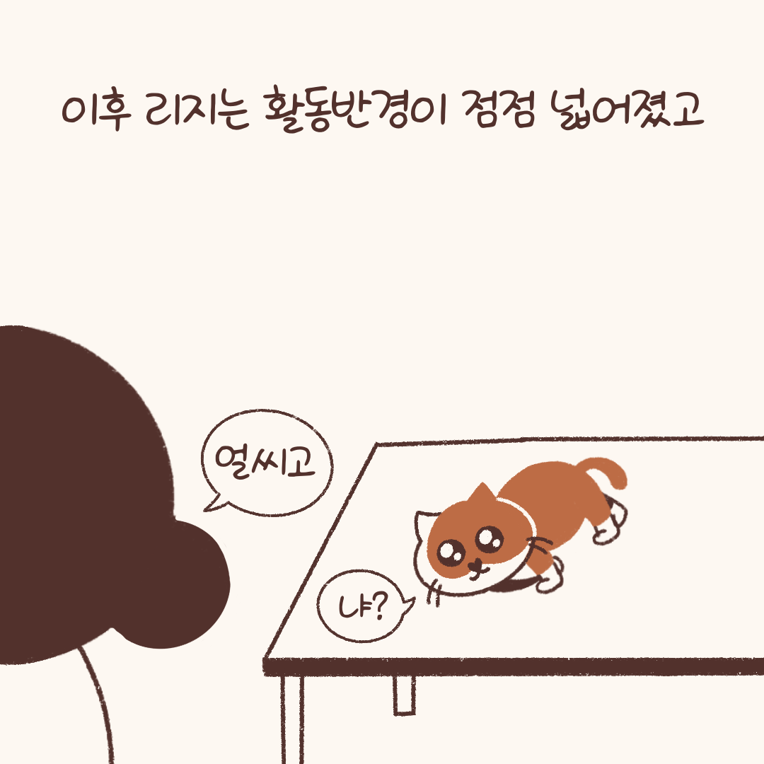 임시보호_적응기_(2)-5.png