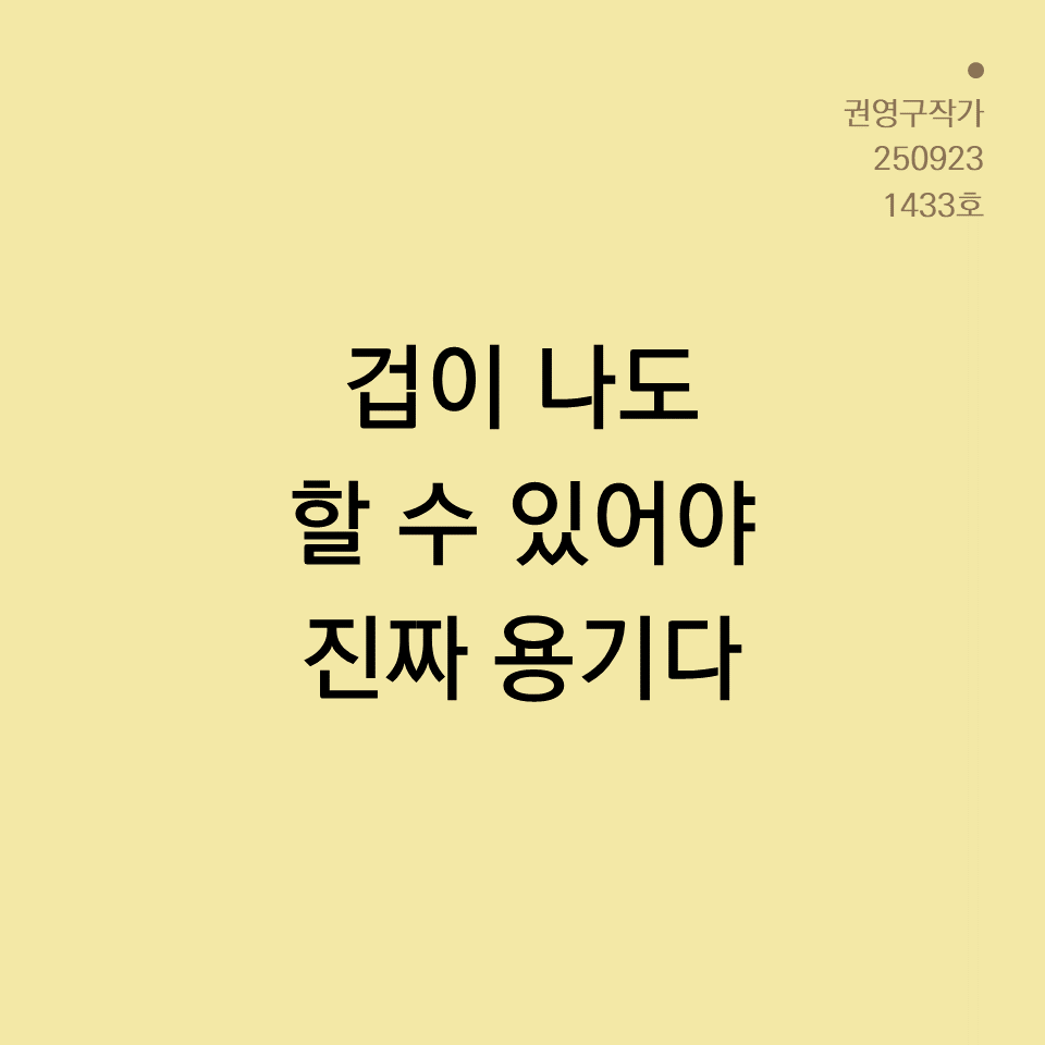 카드뉴스250603_yellow.png