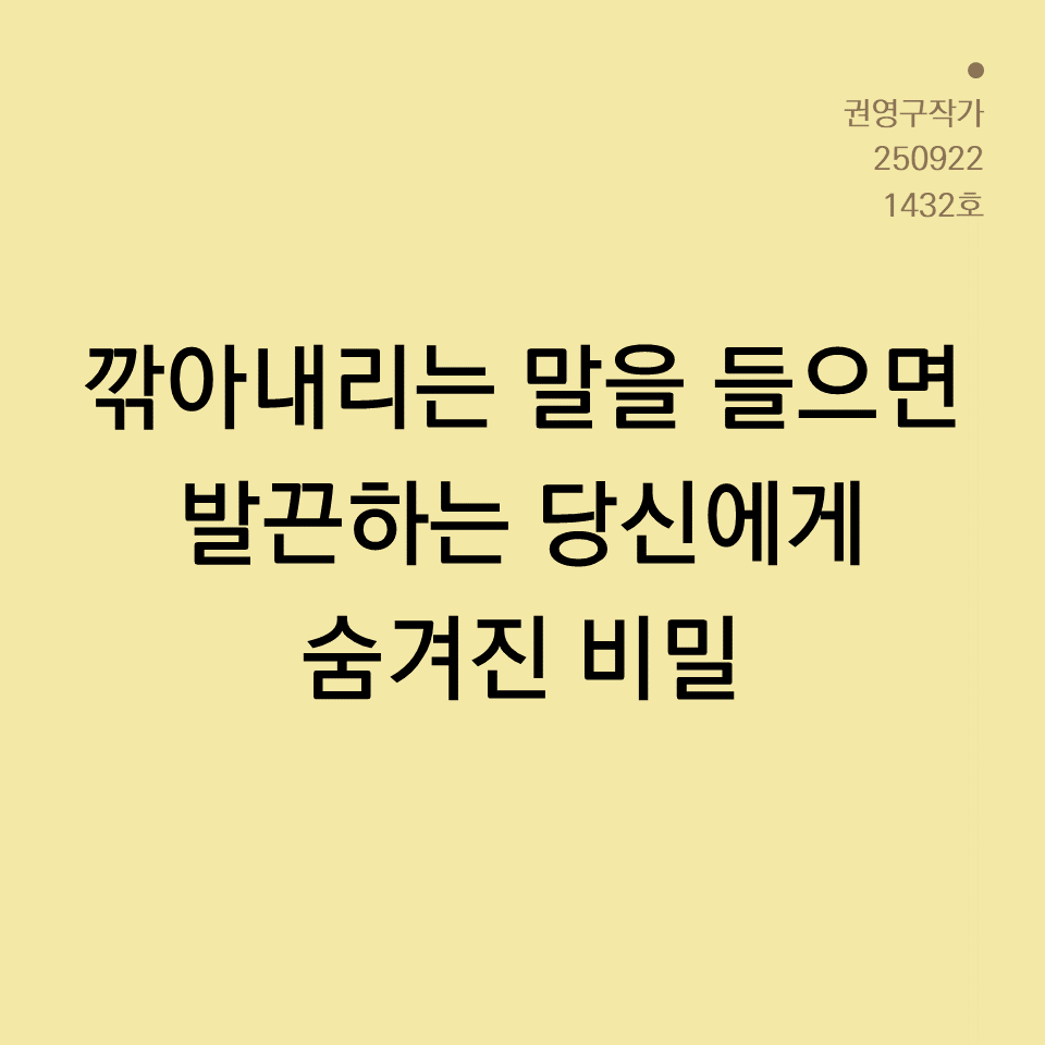 카드뉴스250603_yellow.png