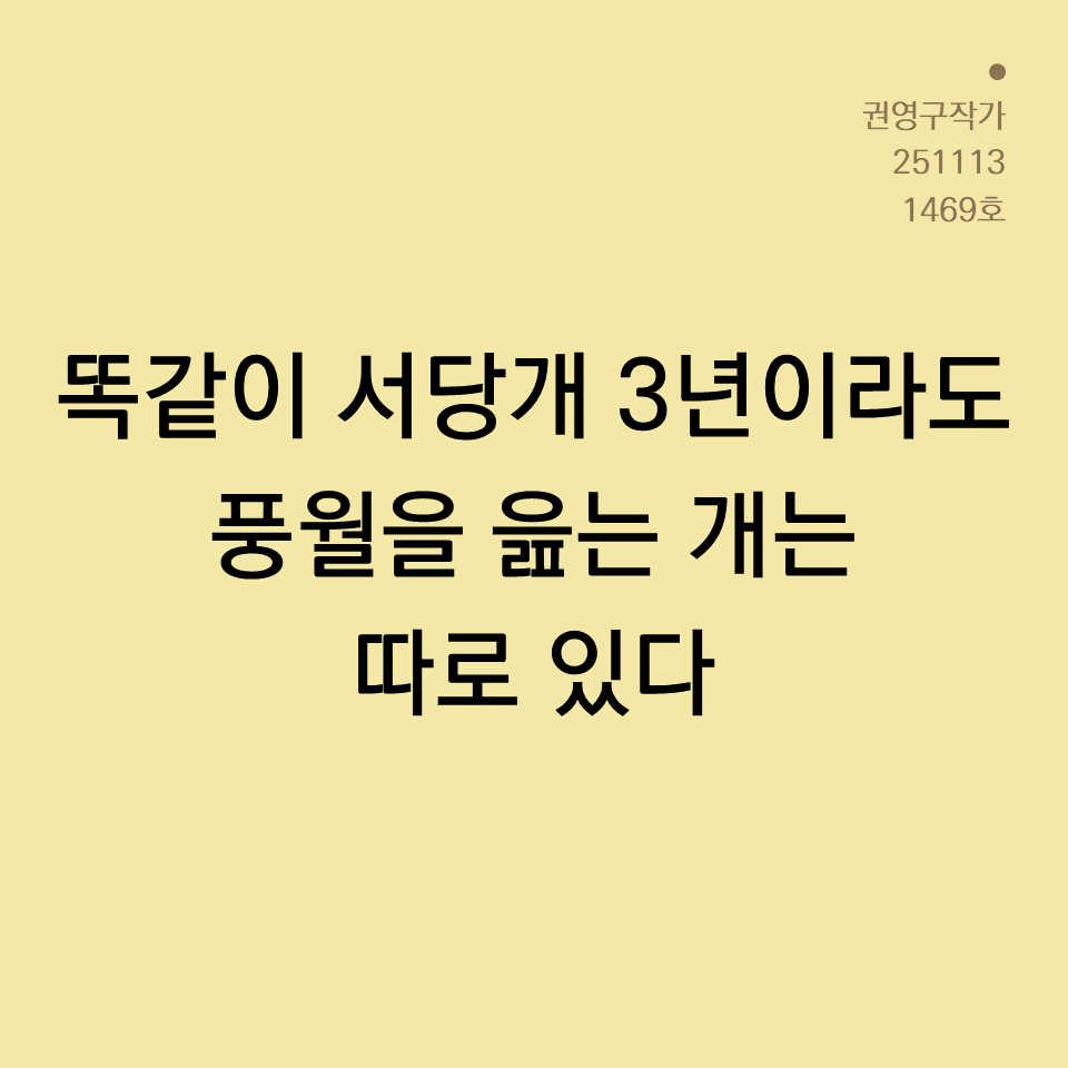 카드뉴스250603_yellow.png