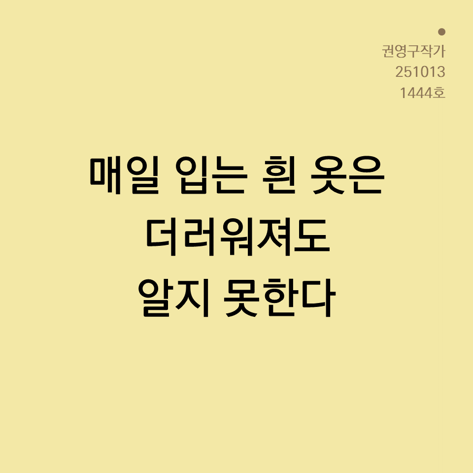 카드뉴스250603_yellow.png
