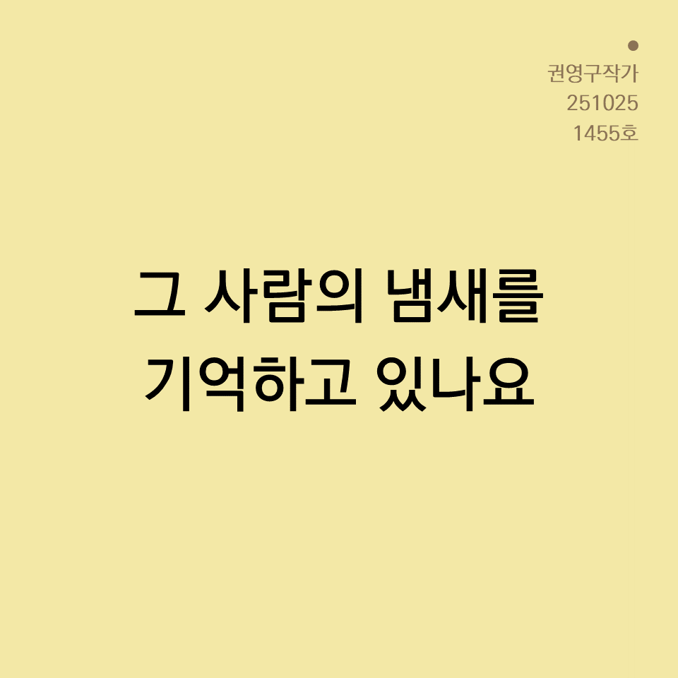 카드뉴스250603_yellow.png