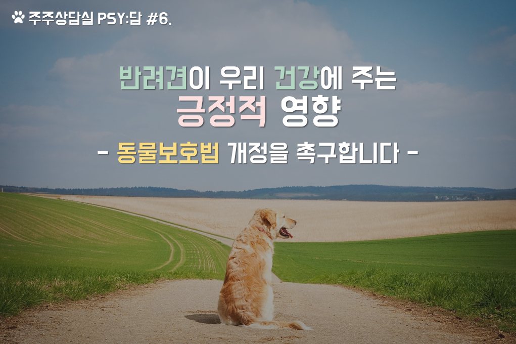 반려견건강-1.png