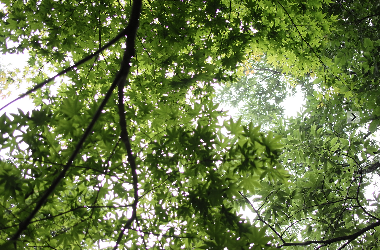 스크린샷 2016-07-28 오전 10.20.53.png