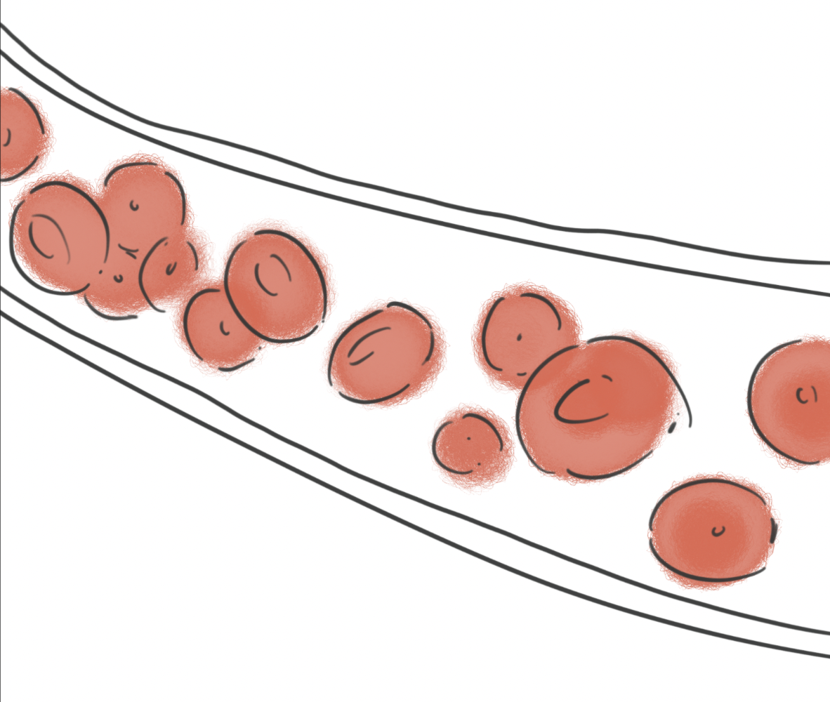 스크린샷 2026-04-06 오후 4.29.51.png