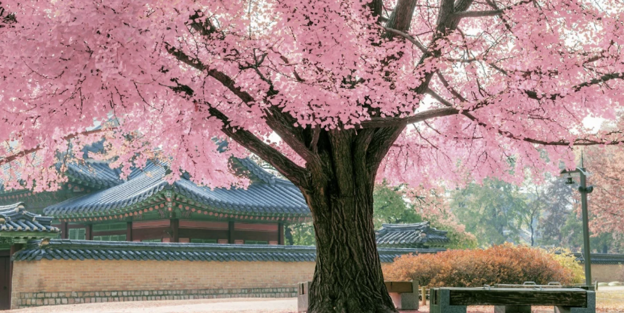 Screenshot 2026-01-27 at 10.34.32 PM.png