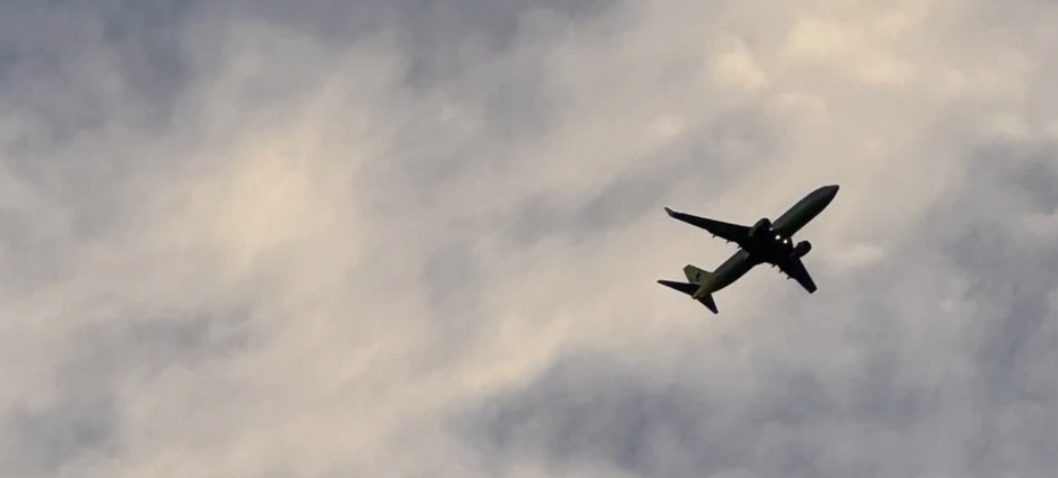 Screenshot 2026-02-25 at 7.29.20 PM.png