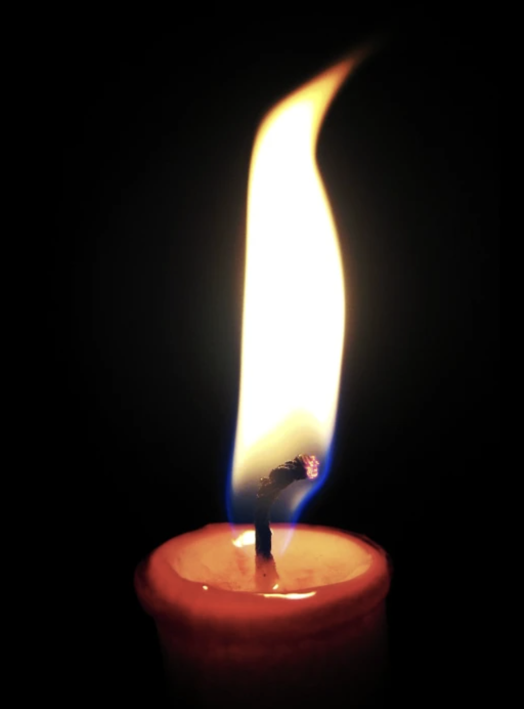 Screenshot 2026-02-25 at 7.29.46 PM.png