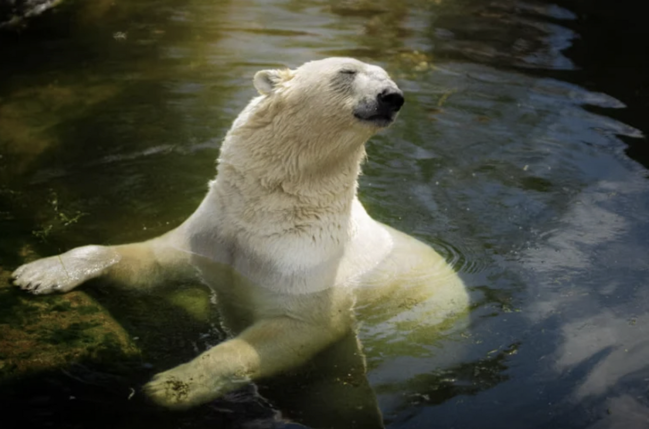 Screenshot 2026-04-23 at 3.47.27 PM.png