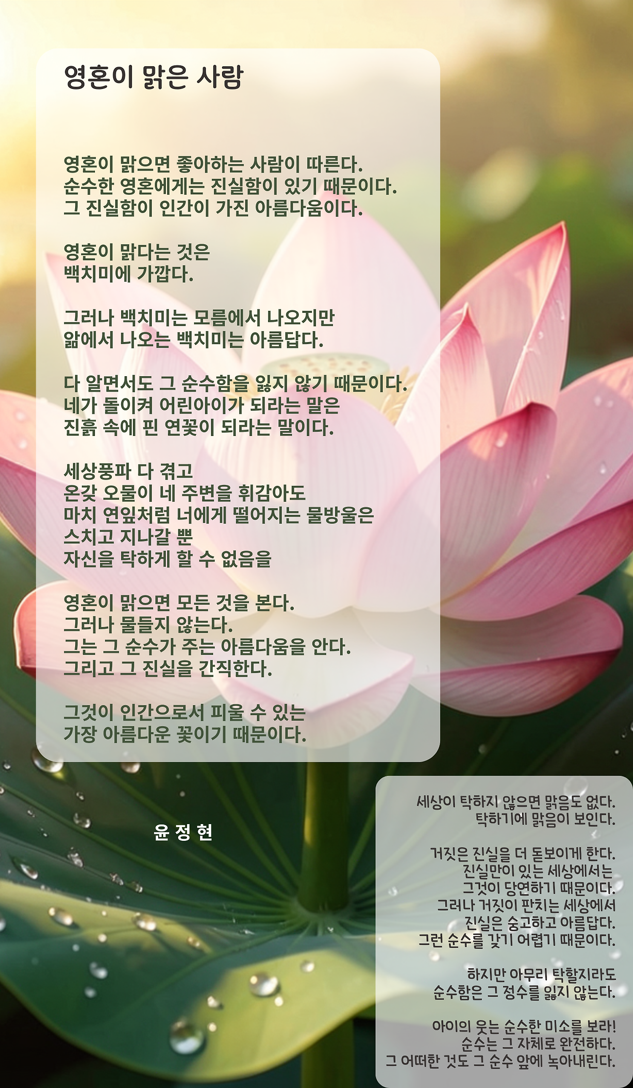 영혼이 맑은 사람.png