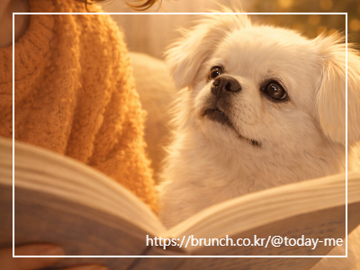 ChatGPT Image 2026년 2월 3일 오전 11_20_31.png