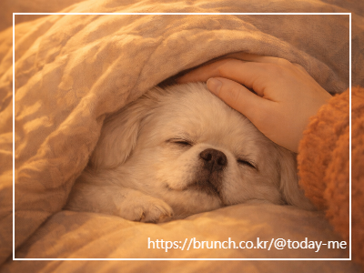 ChatGPT Image 2026년 2월 3일 오전 11_20_23.png