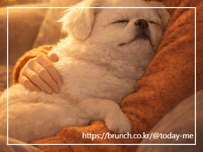 ChatGPT Image 2026년 2월 3일 오전 11_20_25.png