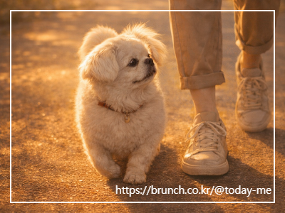 ChatGPT Image 2026년 2월 3일 오전 11_20_20.png