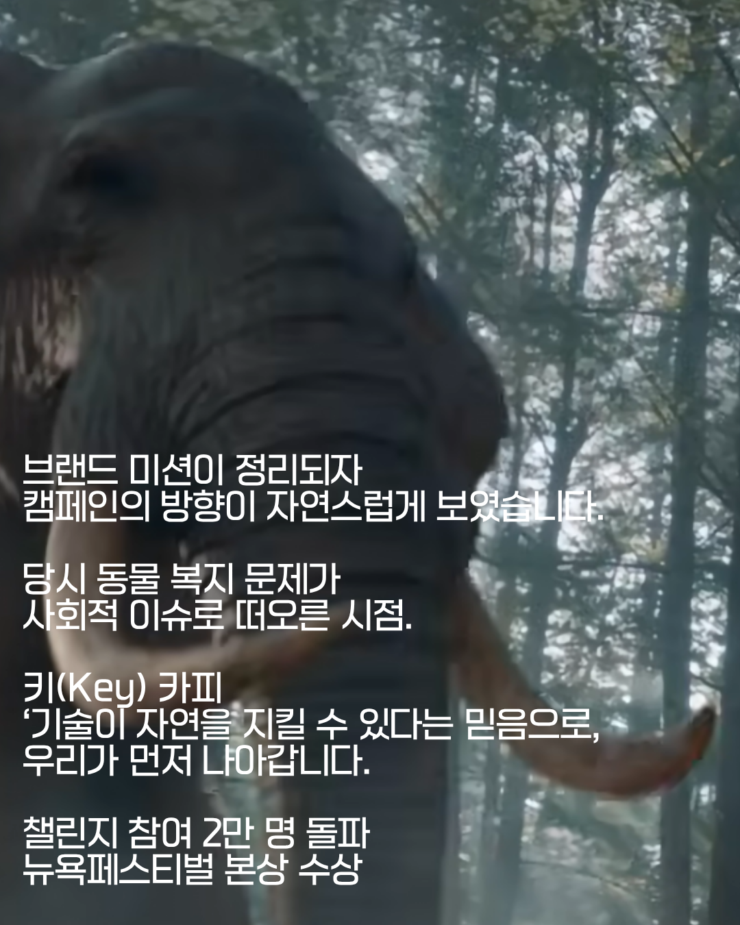 KakaoTalk_20260529_142009284.png