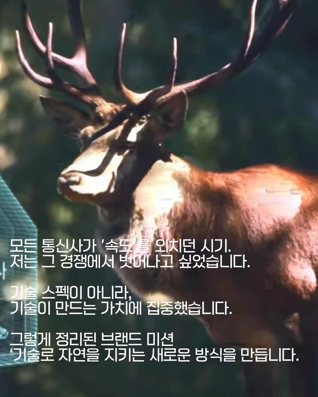 KakaoTalk_20260529_142007469.png