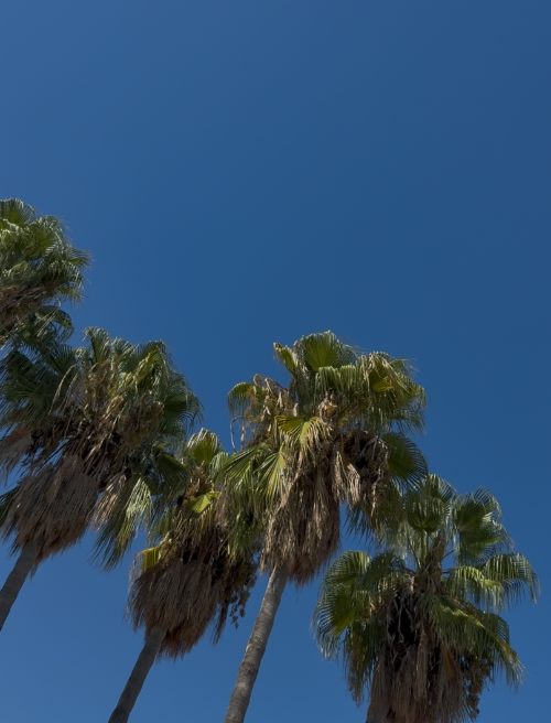 스크린샷 2026-04-10 오후 12.37.12.png