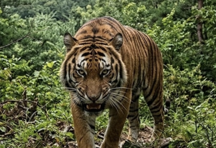 스크린샷 2026-03-15 오후 11.28.52.png