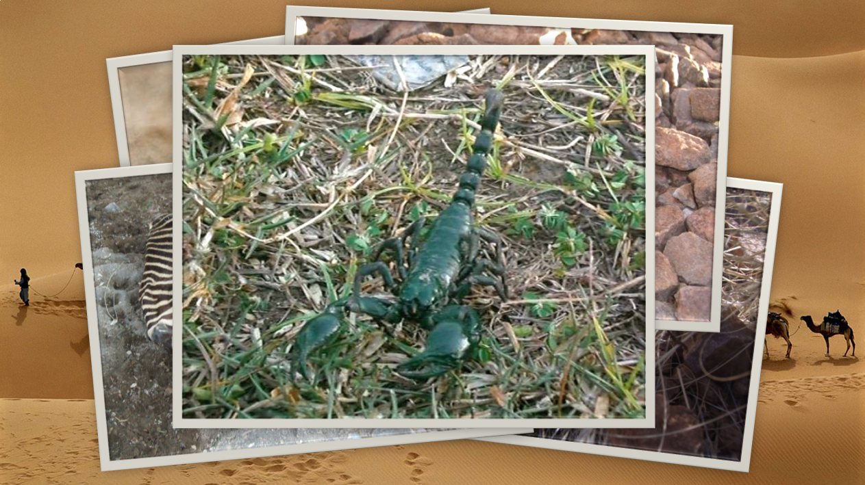 스크린샷 2026-03-06 203854.png