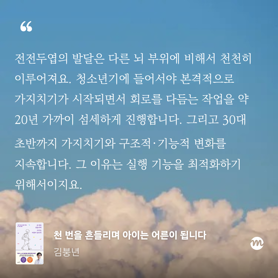 KakaoTalk_20260208_144426228.png