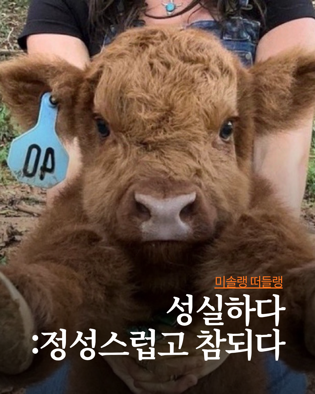 미솔랭 게시물 (33).png