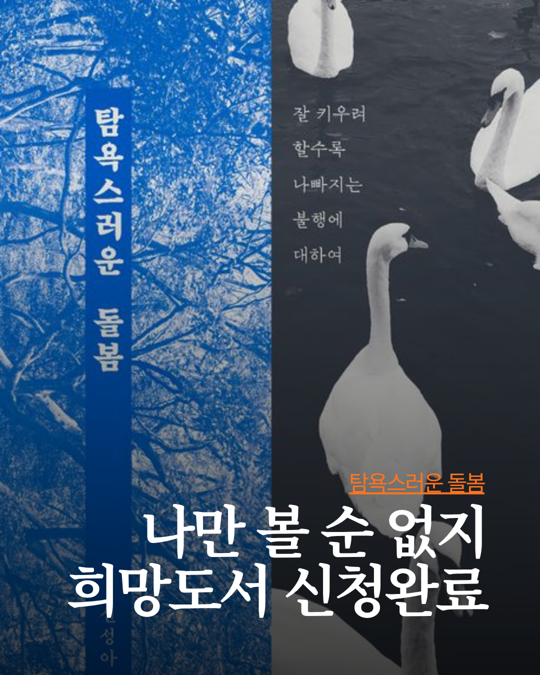 미솔랭 게시물 (48).png