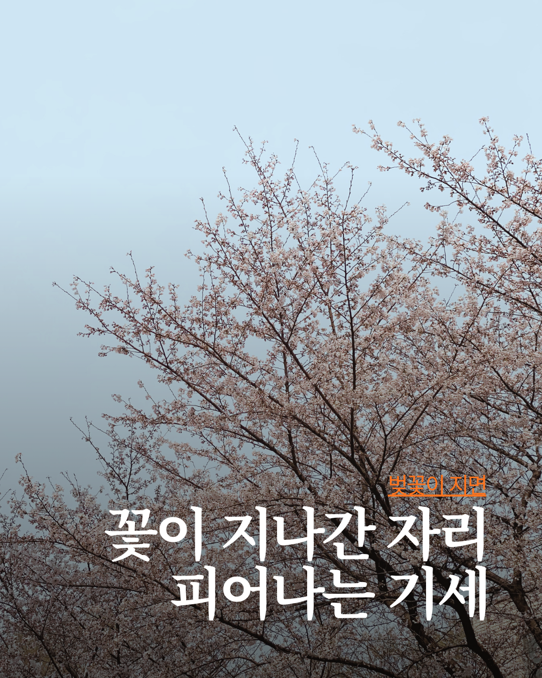 미솔랭 게시물 (51).png