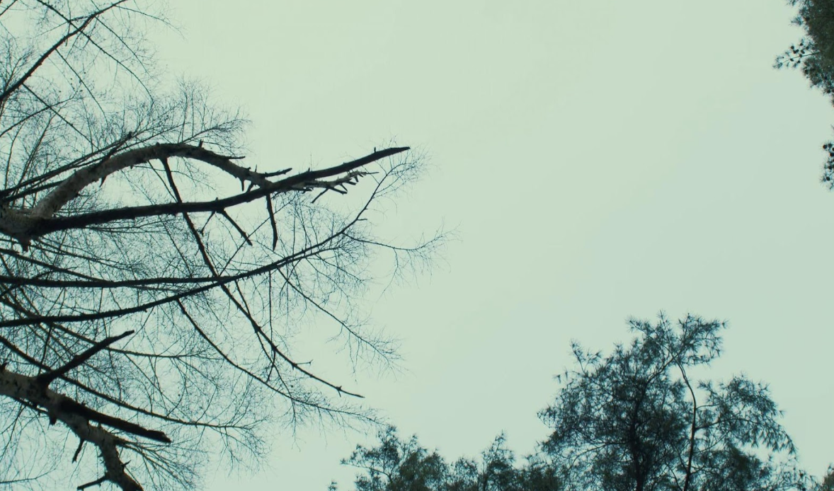 スクリーンショット 2026-02-15 午後6.22.36.png