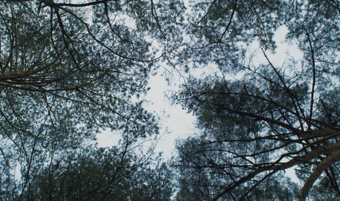 スクリーンショット 2026-03-02 午後5.03.13.png