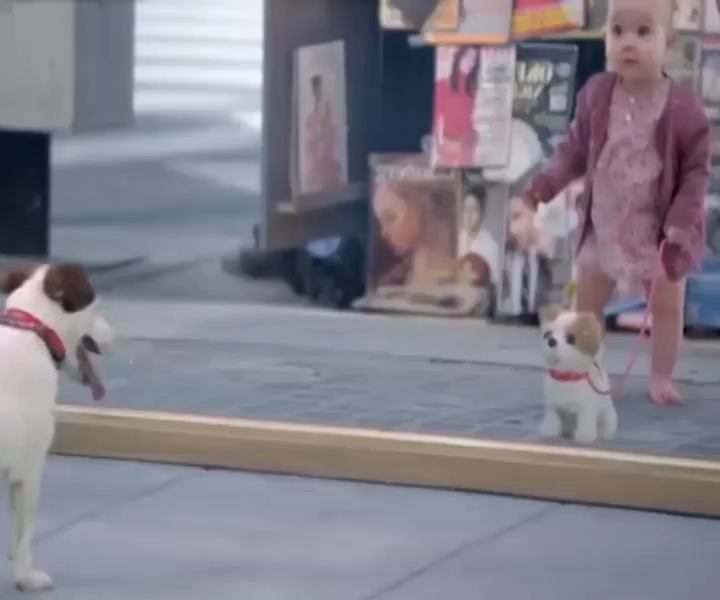 거울을 보면 아이로 변한다.mp4_20260130_140513.702.png