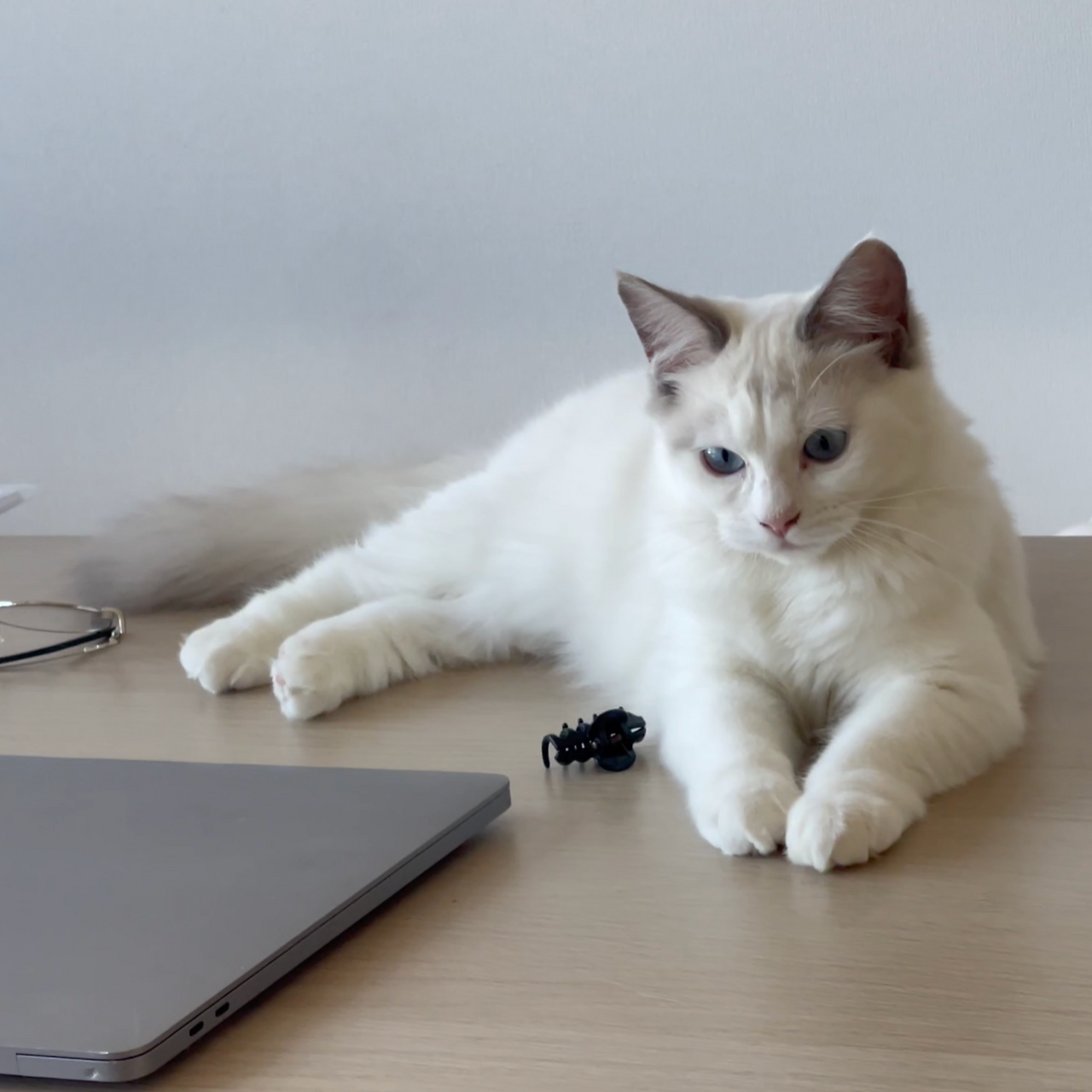 스크린샷 2026-03-29 16.23.23.png