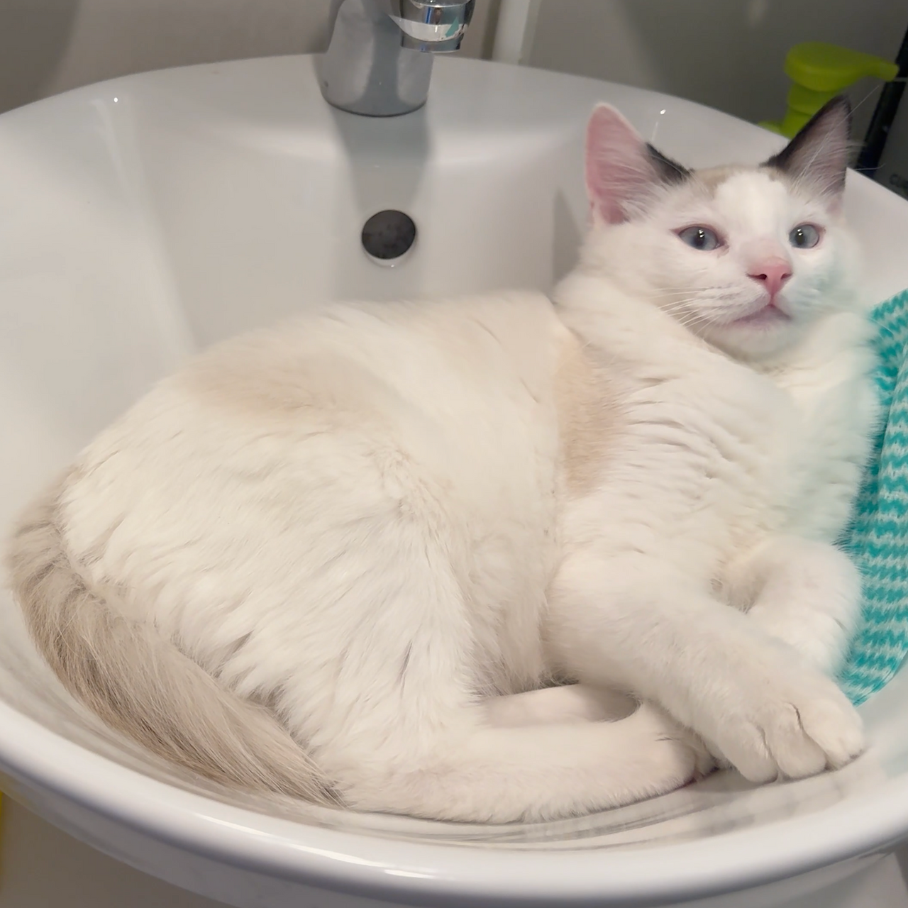 스크린샷 2026-03-29 16.23.50.png